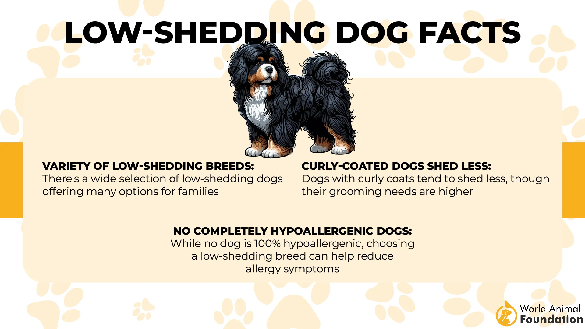 9 Cleanest Dog Breeds That Self-Clean Often