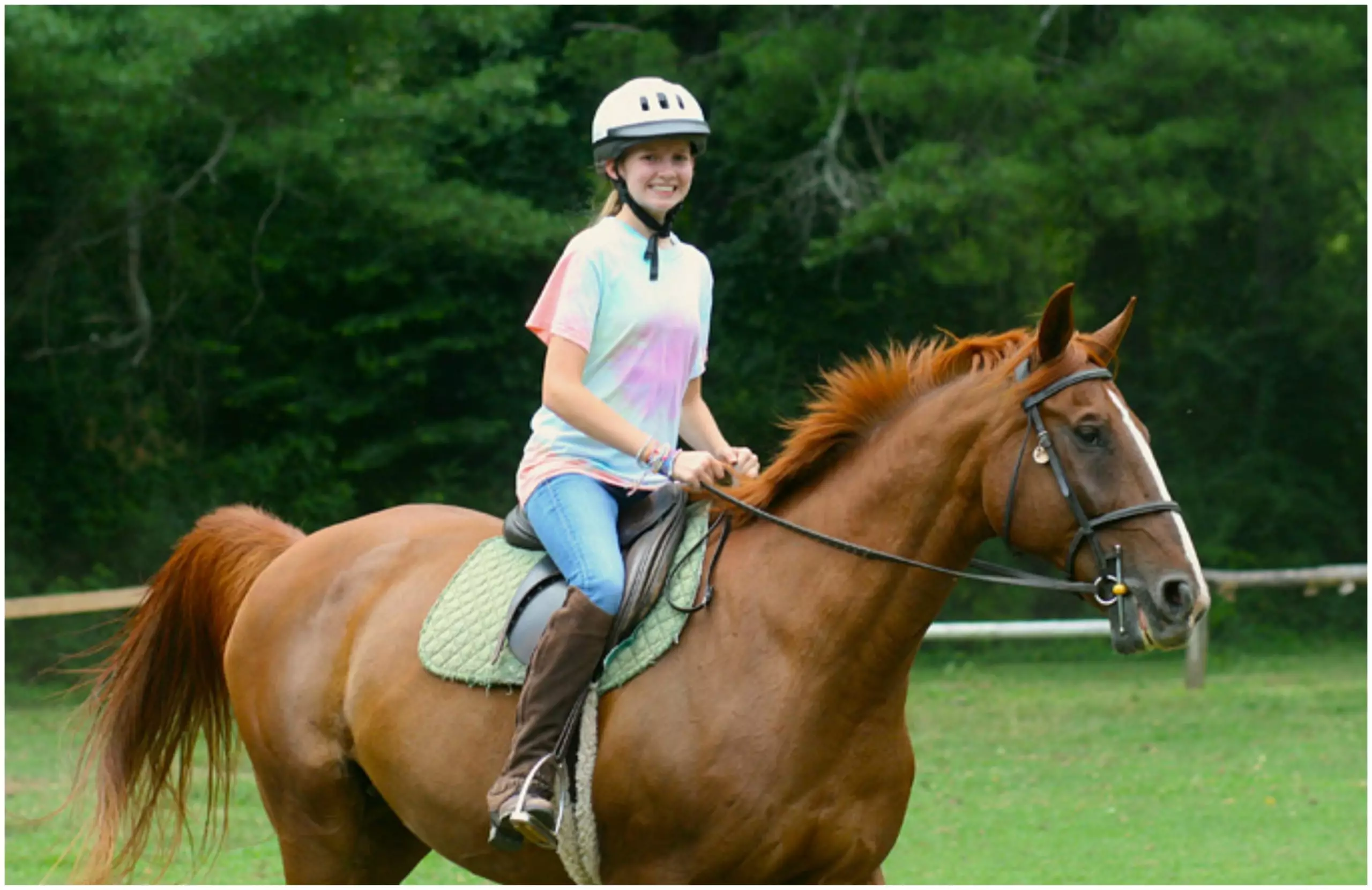 What You Need To Know Before You Take Your First Horse Ride - World Inside Pictures