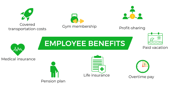 Main Types Of Employee Benefits + Their Importance [2025]