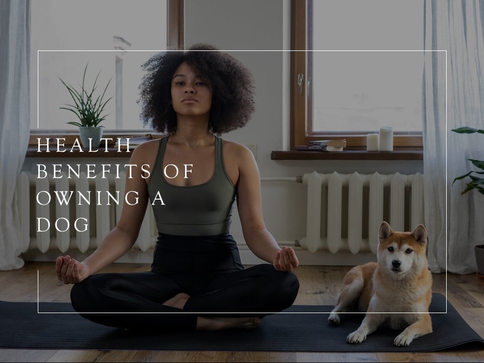 Health Benefits Of Owning A Dog: Is Owning A Dog Healthy?