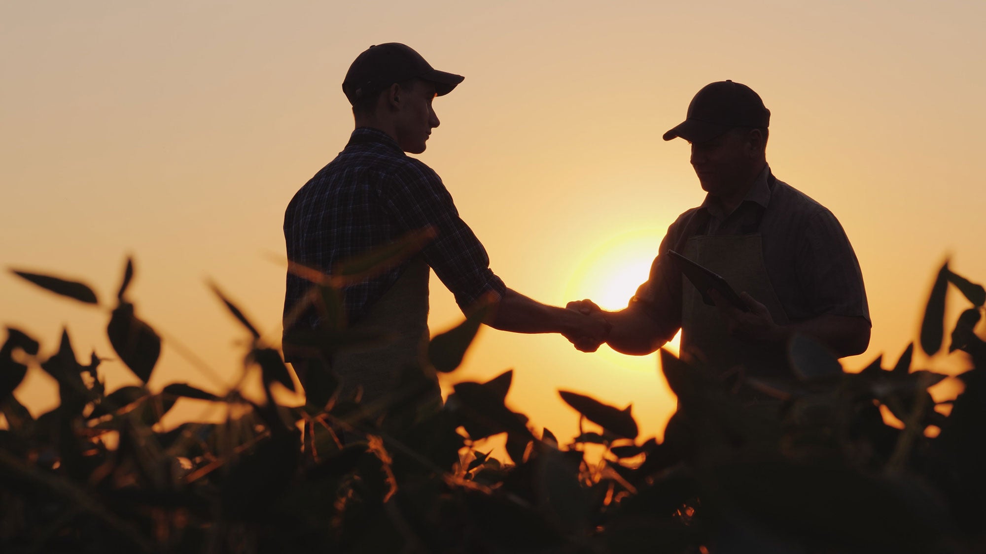 Growing Climate Solutions Act Would Help Farmers Navigate Carbon Markets | AGDAILY