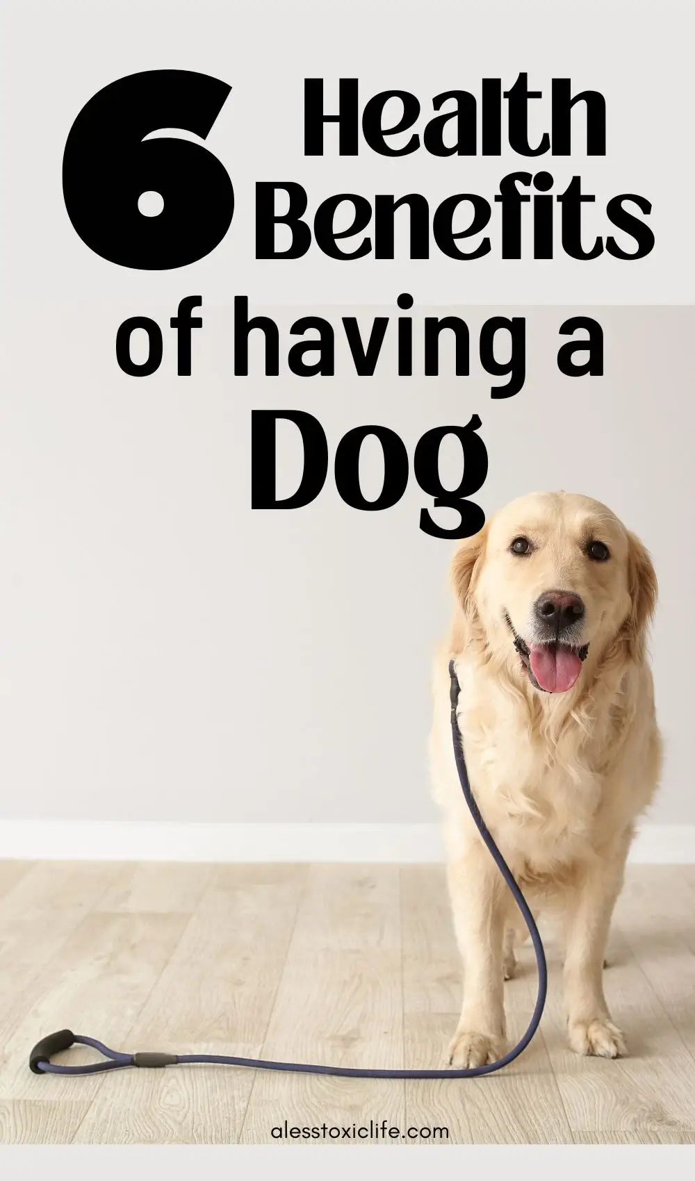 6 Health Benefits Of Owning A Dog - A Less Toxic LifeA Less Toxic Life