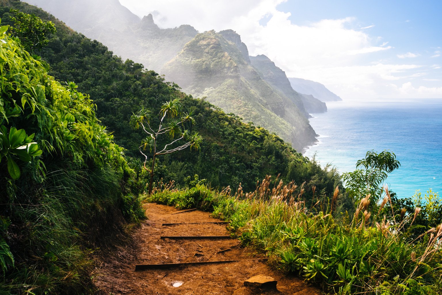 Why Nature Is Healing & How To Reconnect With Nature