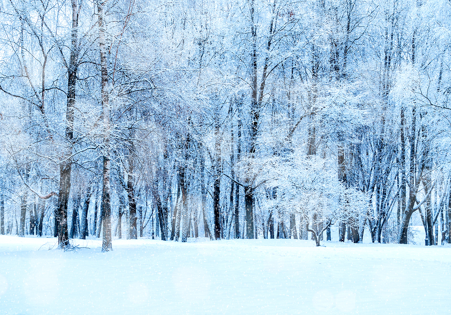 5 Ways to Enjoy Winter This Year! – allgoodthings4you