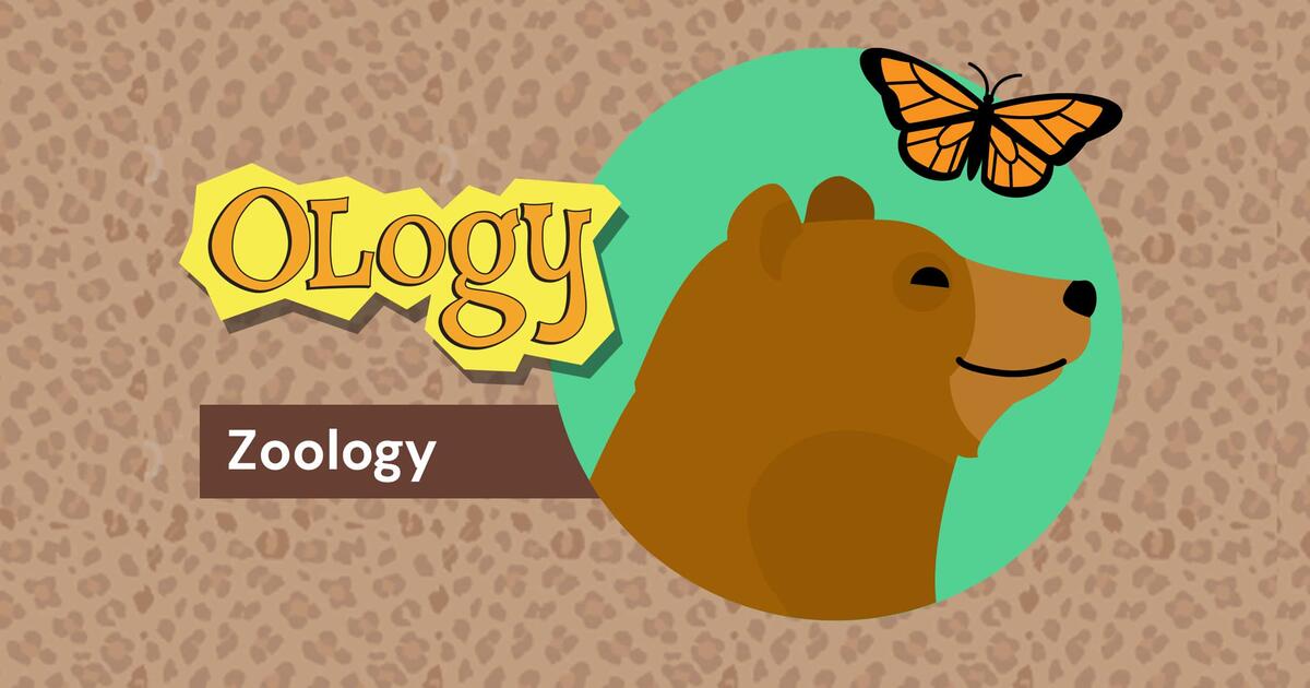 Zoology For Kids: OLogy | AMNH