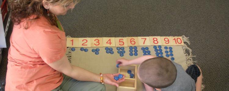 Learn How to Learn - Arbor View Montessori School