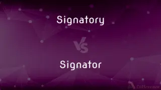Overlooked Vs. Underlooked — Which Is Correct Spelling?