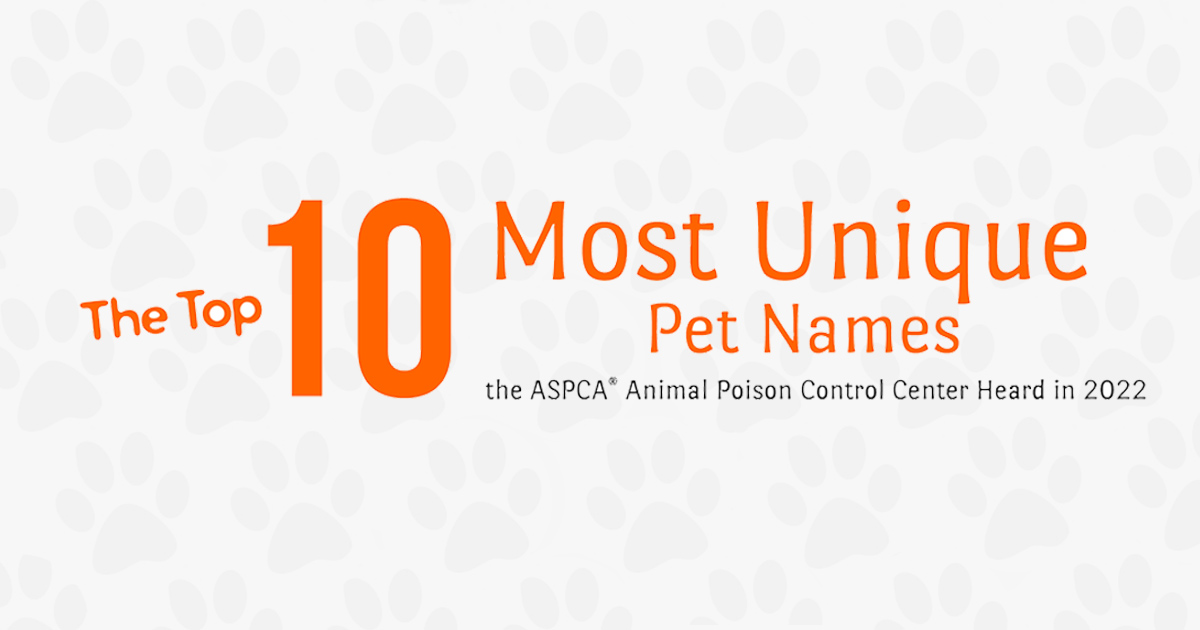 The Top 10 Most Unique Pet Names Of 2022| ASPCA