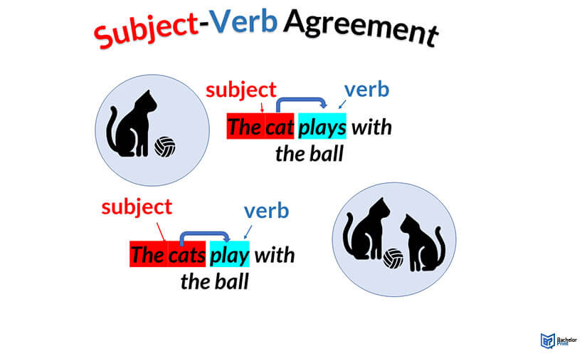 Subject-Verb Agreement ~ All Rules & Examples