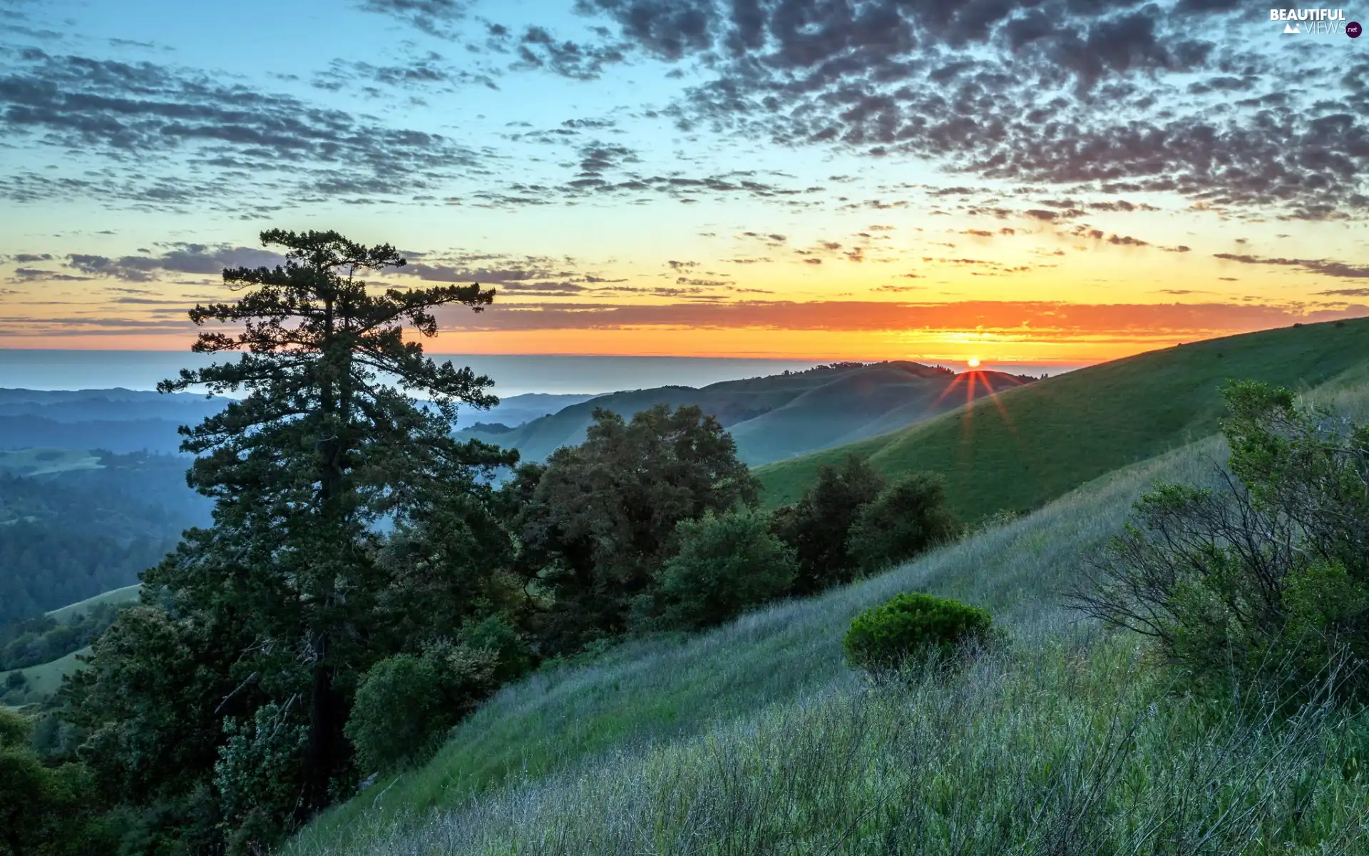 grass, Mountains, trees, viewes, clouds, Great Sunsets, Fog, Sky, slopes - Beautiful views ...
