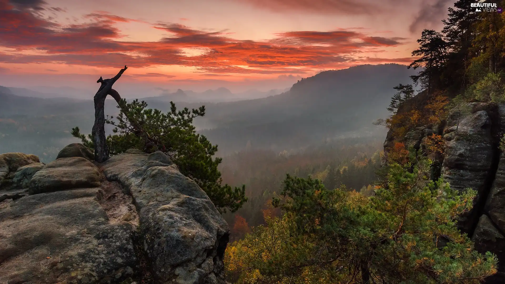 Mountains, Great Sunsets, rocks, pine, Fog, clouds - Beautiful views wallpapers: 2048x1152