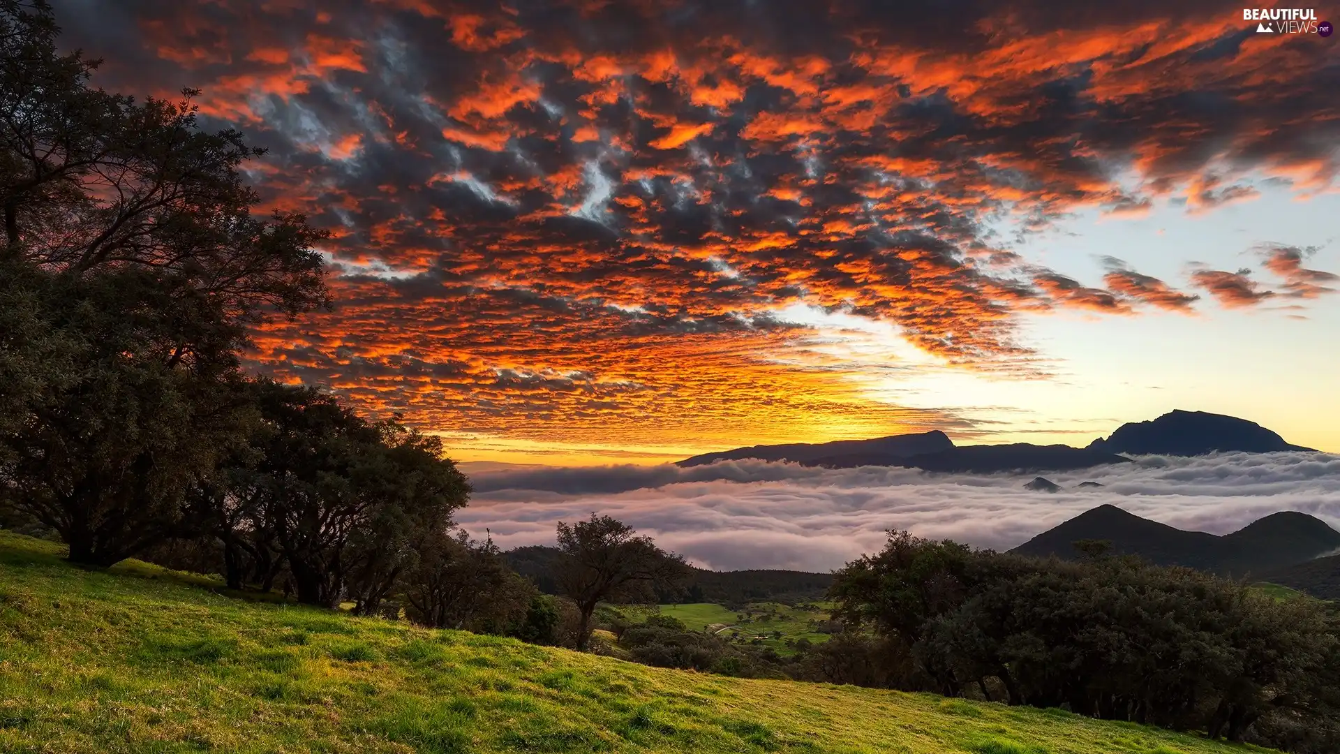 viewes, Mountains, Great Sunsets, clouds, Fog, trees - Beautiful views wallpapers: 1920x1080