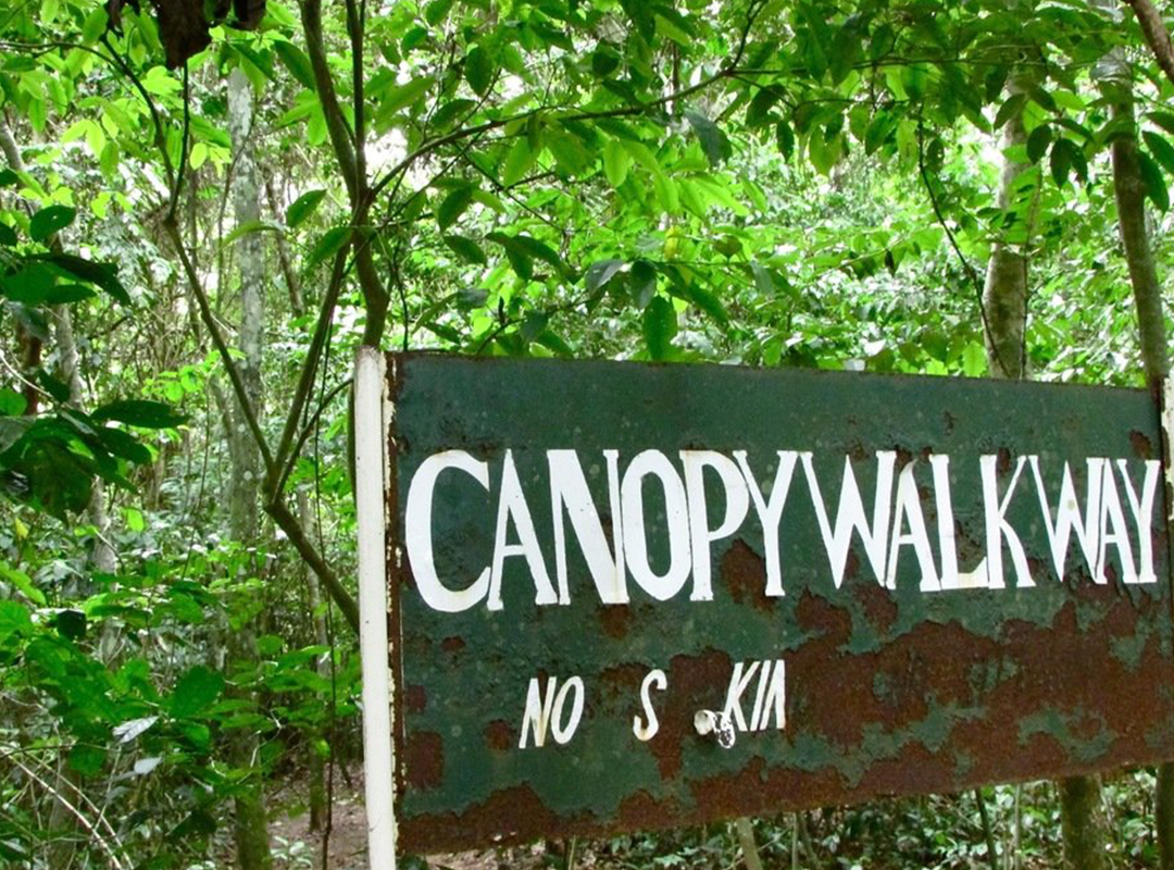 Kakum National Park | Beyond The Return Travel And Tours GH-US