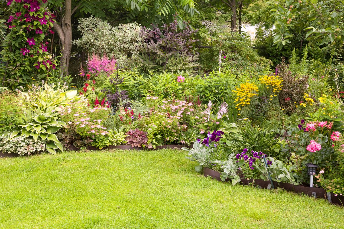 Our Top 10 Tips For Taking Care Of Your Garden While You&#39;re On Holiday - British Garden Centres