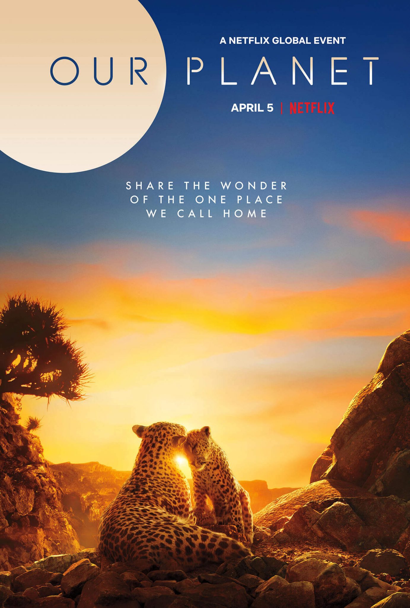 Best Documentaries 2024 Netflix - Shena Doralynn