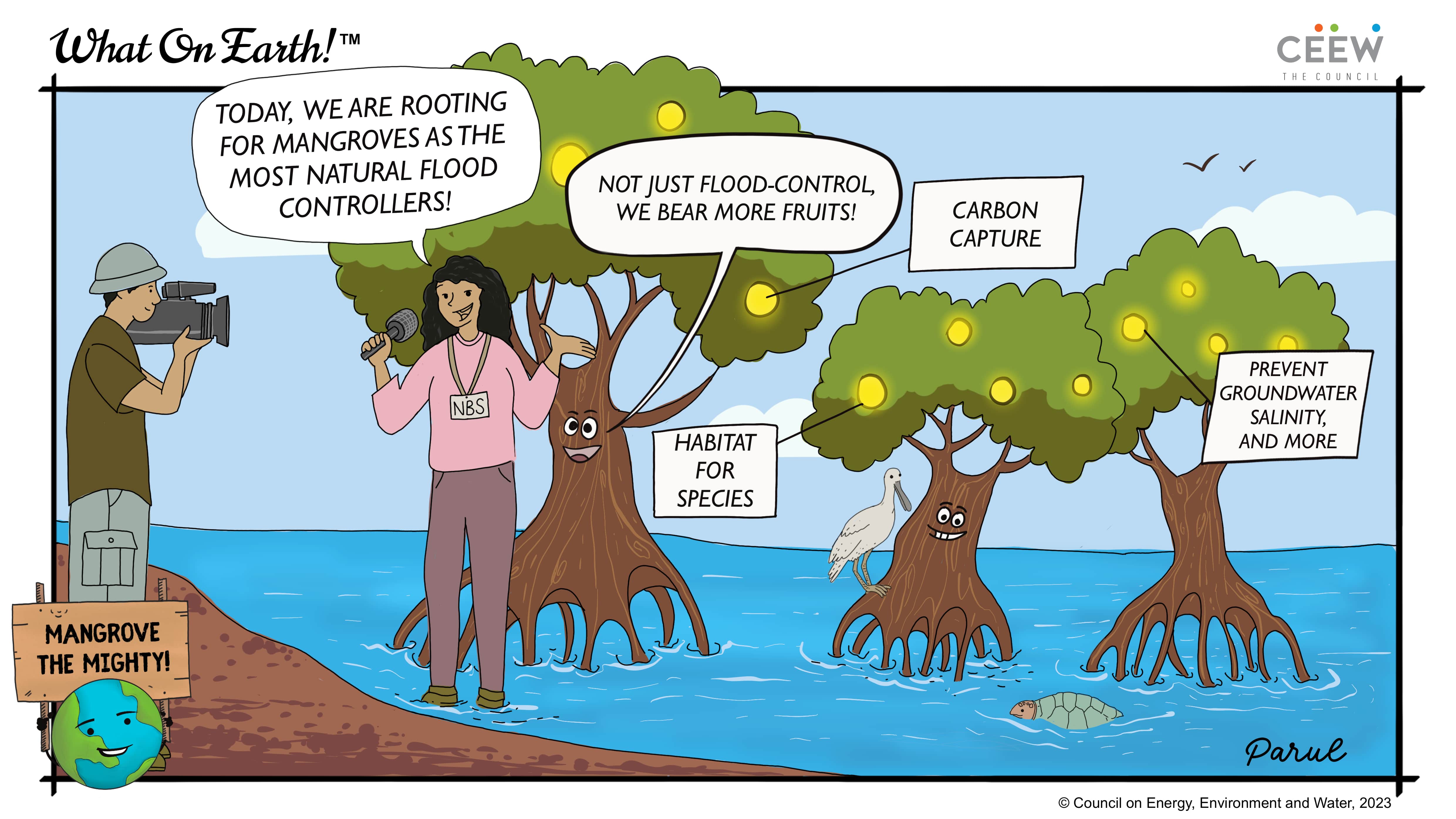 Environmental Sustainability & Ecology Conservation Cartoons | CEEW