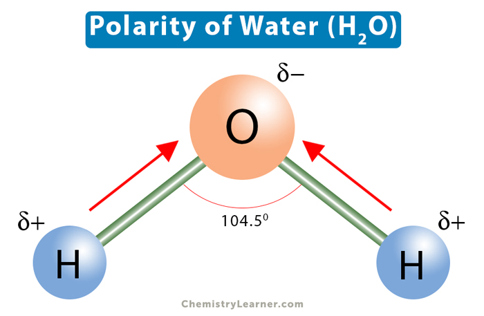 Complete Water Molecule Diagram With Partial Changes And Dip