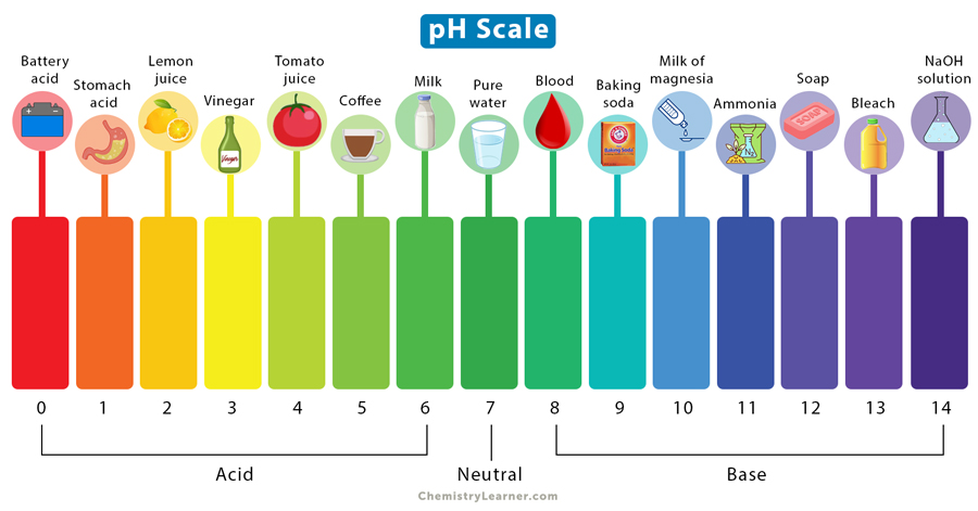 PH Scale: Definition, Chart, Values, & Range