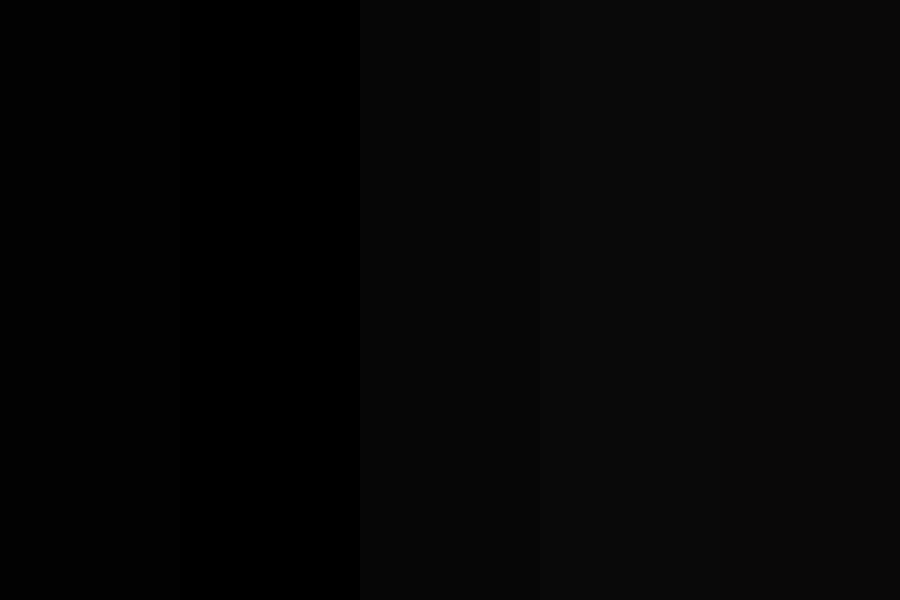 Black Color Swatch