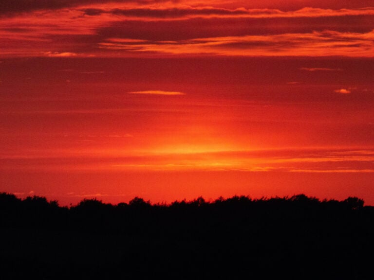 Why Is The Sky Red? The Science Behind Red Skies| Color Meanings