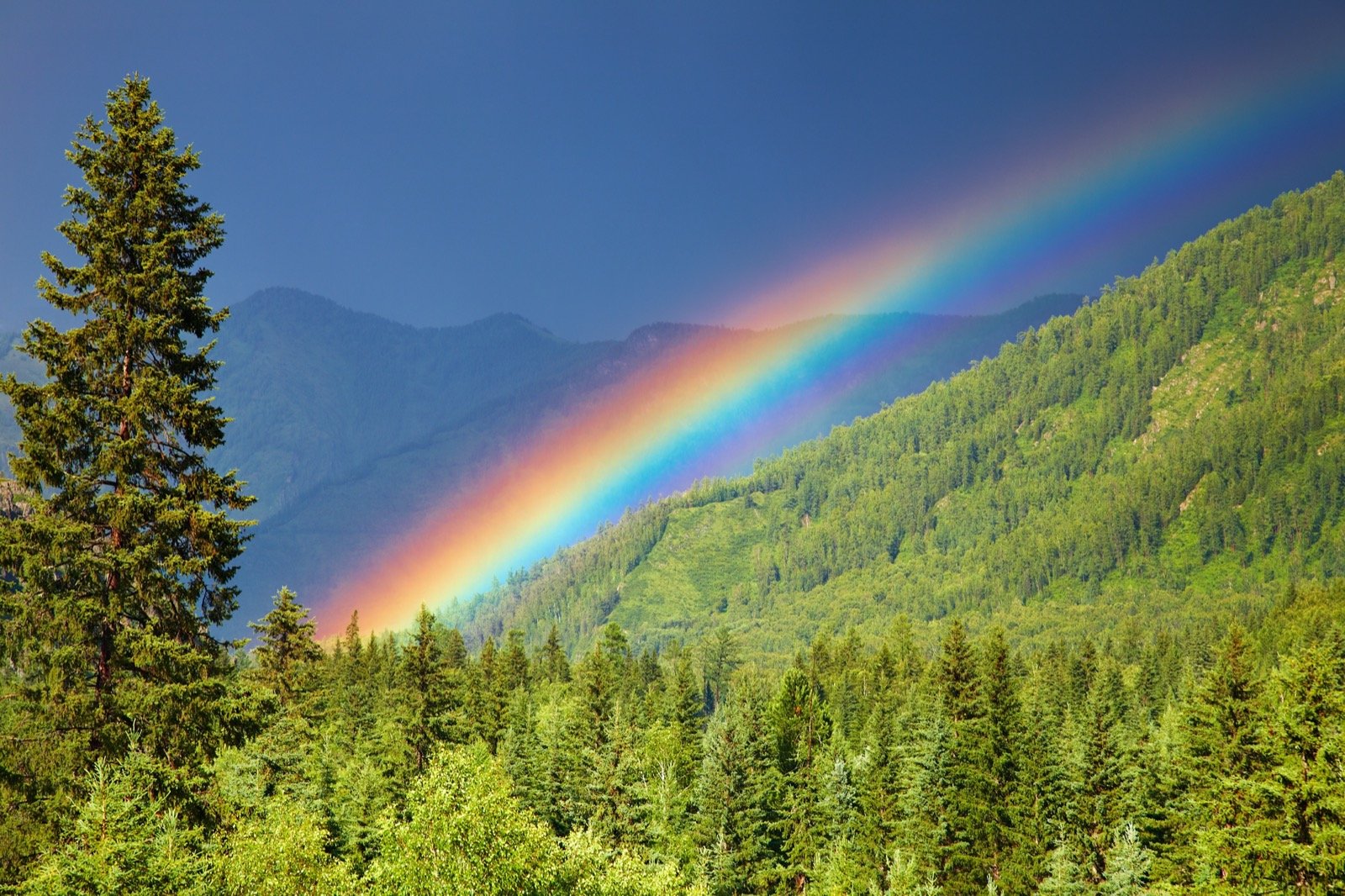 Rainbow Colors