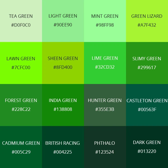 Shades Of Green Color Names