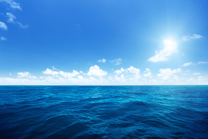 Meaning Of The Color Blue: Symbolism, Common Uses, & More