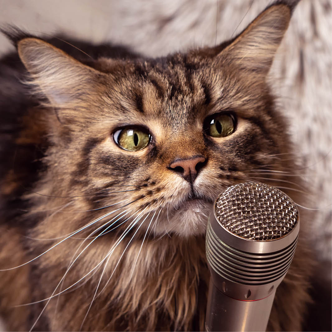 Conference Reviews of The Ohio Community Cat Summit and CARE&#39;s The Gathering
