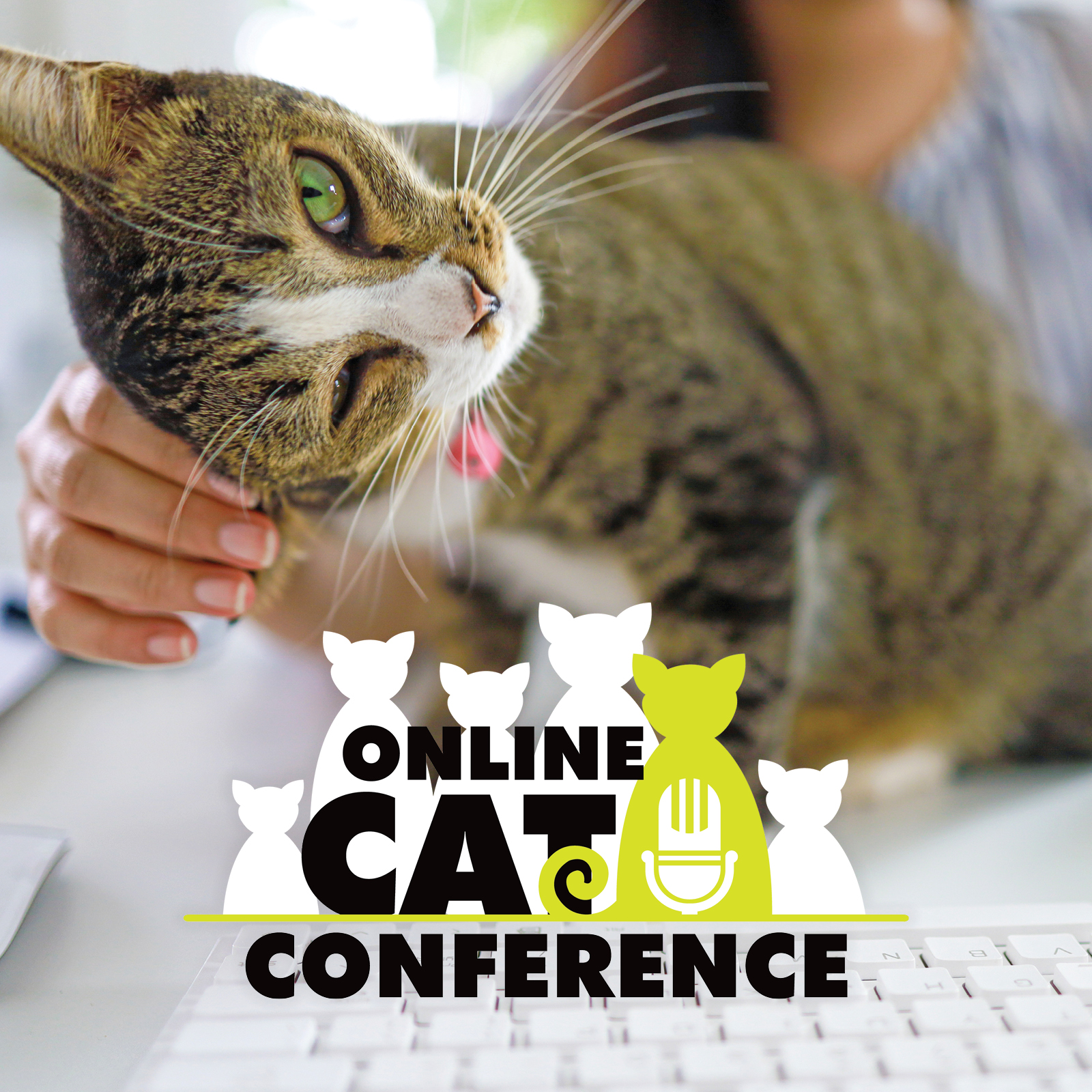 2025 Online Cat Conference Recordings - The Community Cats Podcast