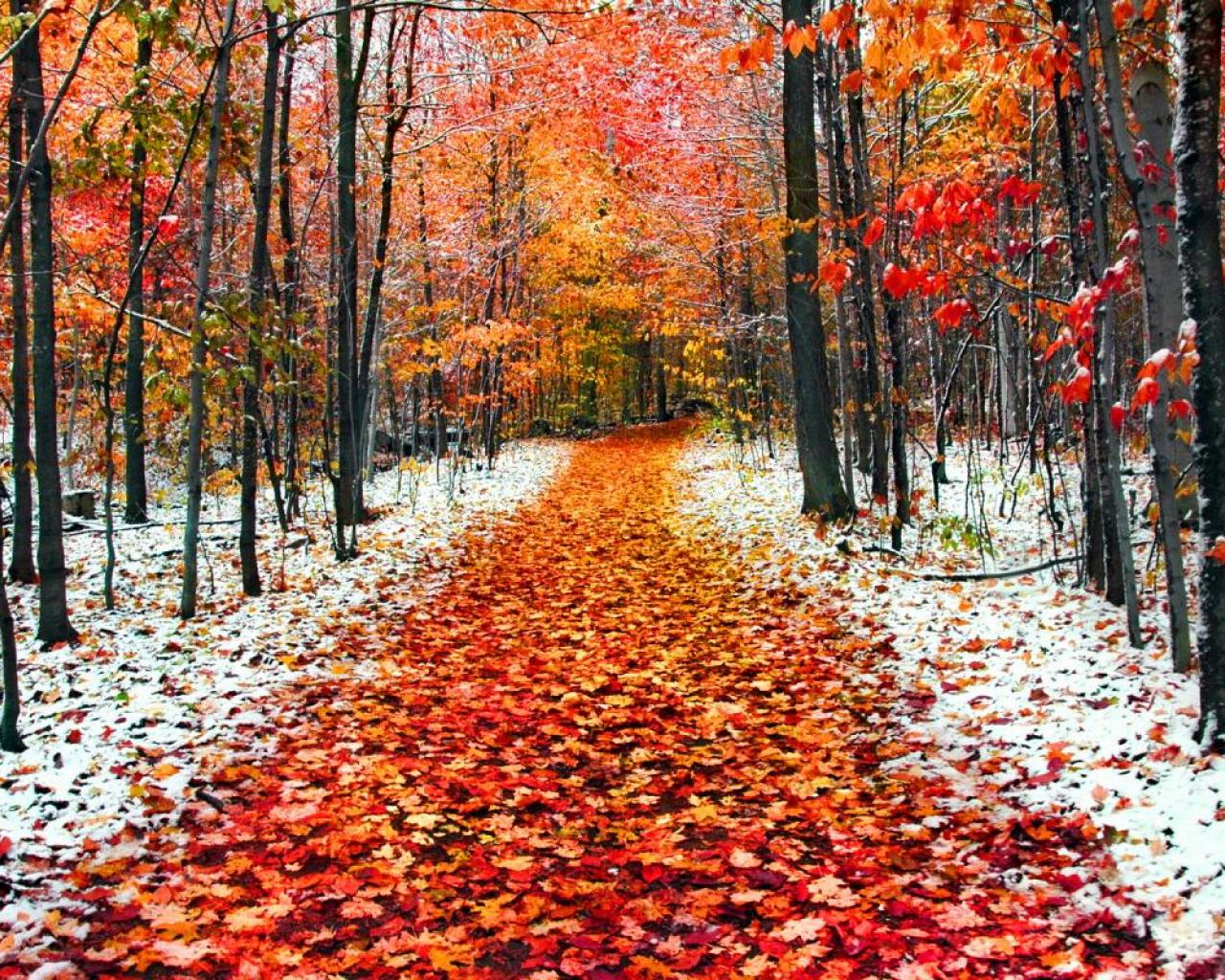 What&#39;s On: Top Events This November - COOL AS LEICESTER
