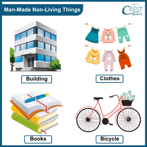 Living & Non-Living Things - Class 1 Explained