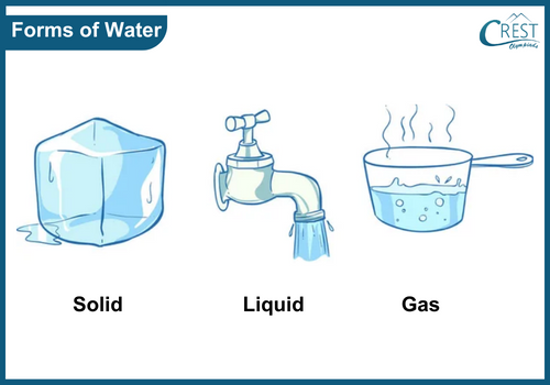Class 1 Water - Key Concepts Explained| CREST Olympiads