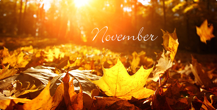 Key Dates For November…| Curle & Co.| Chartered Accountants| Kilsyth, Glasgow