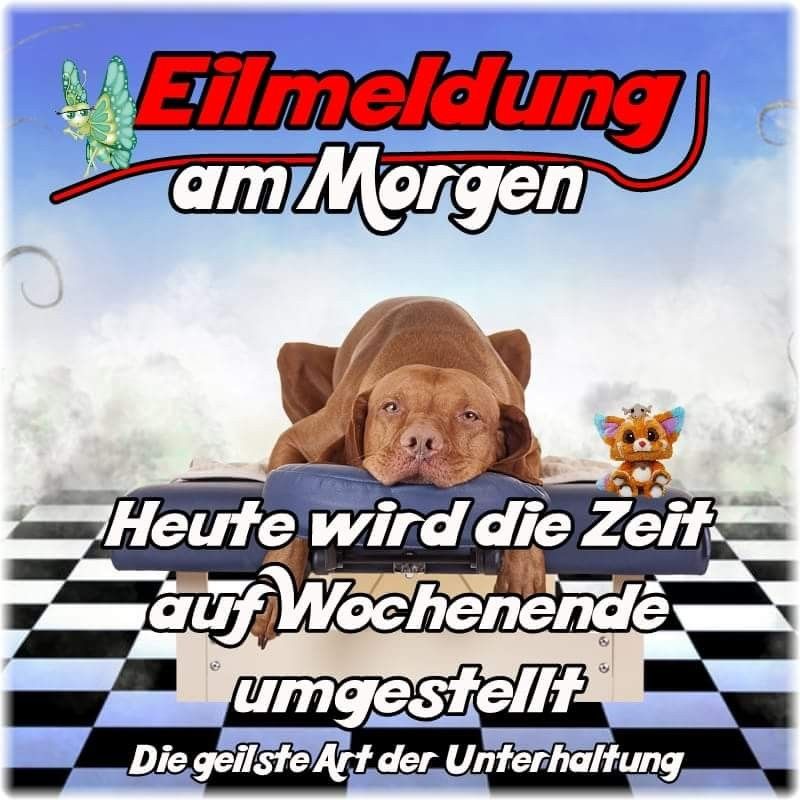 Langes Wochenende Lustige Bilder