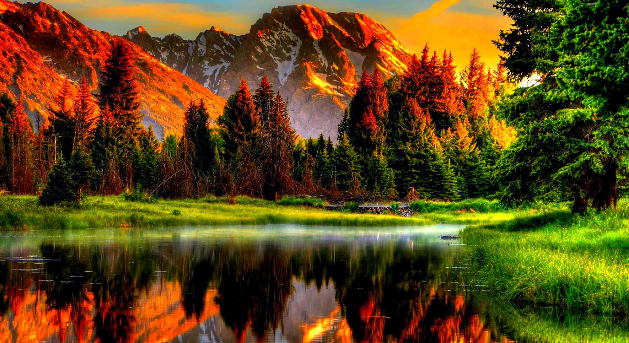 Cool Desktop Backgrounds: 40 Cool Wallpapers To Download