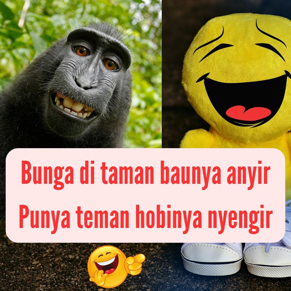 70 Pantun Lucu Buat Teman Jadi Hiburan Jenaka| Diedit.com