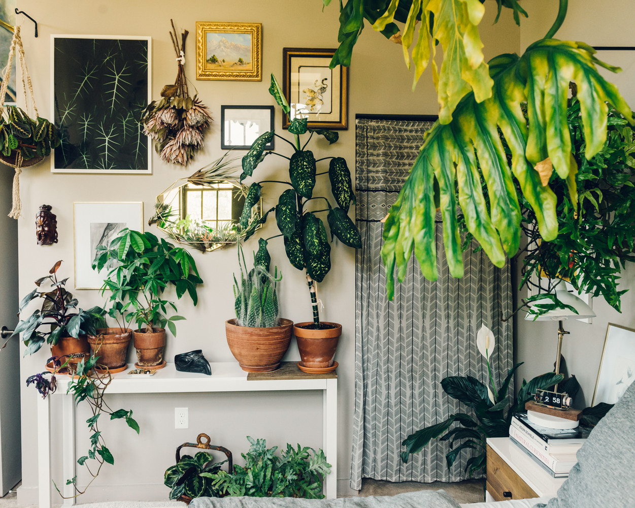 How To Decorate Living Room Corner With Plants – Leadersrooms