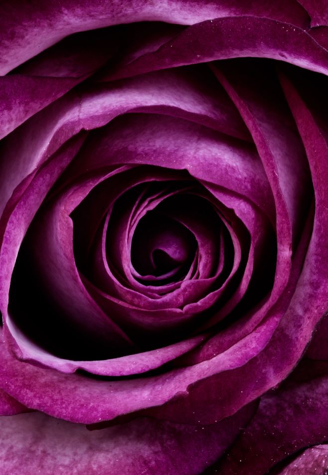 Random Inspiration| Purple| 32 Pics - Doozy List