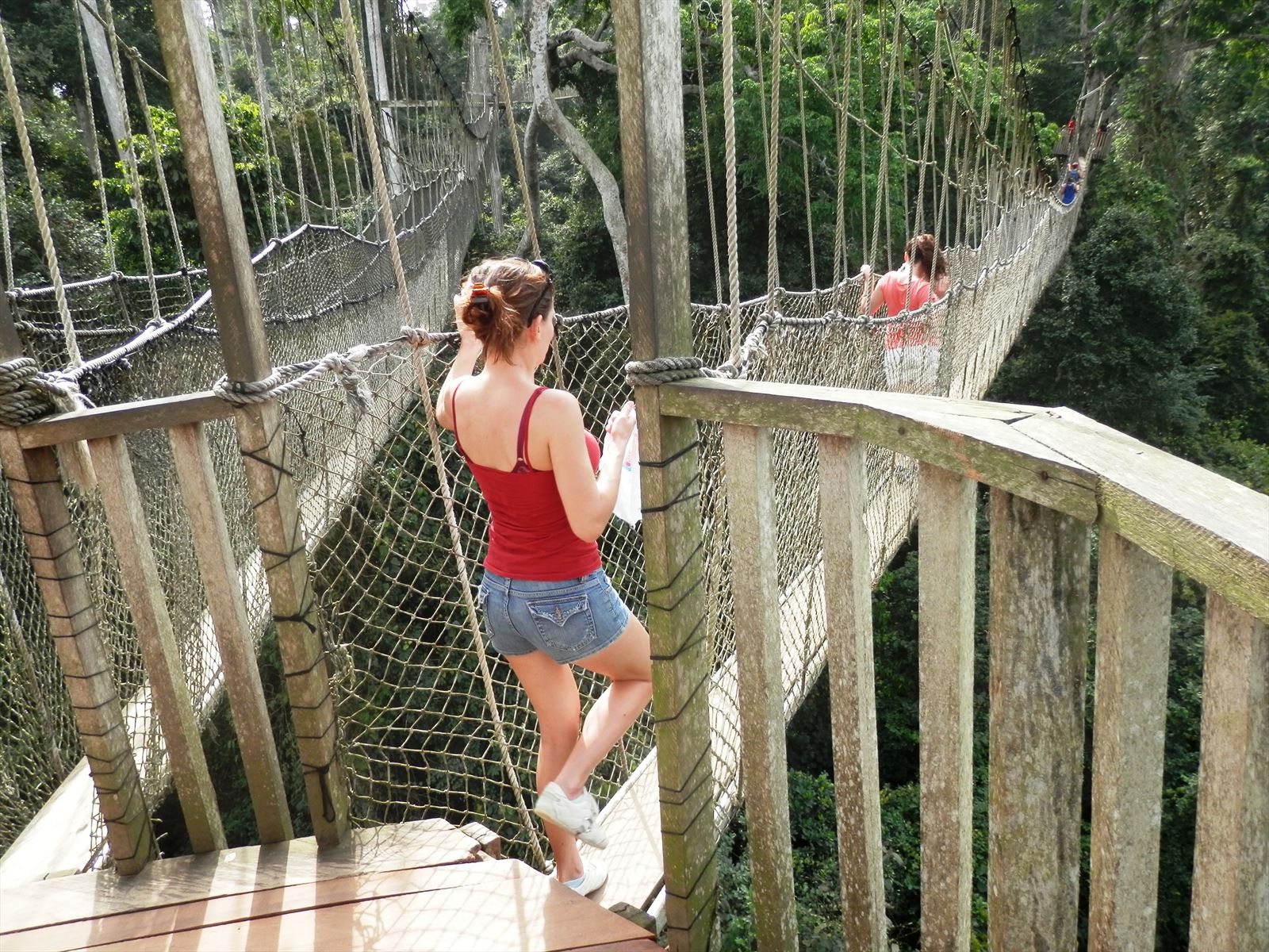 Kakum National Park - Easy Track Ghana