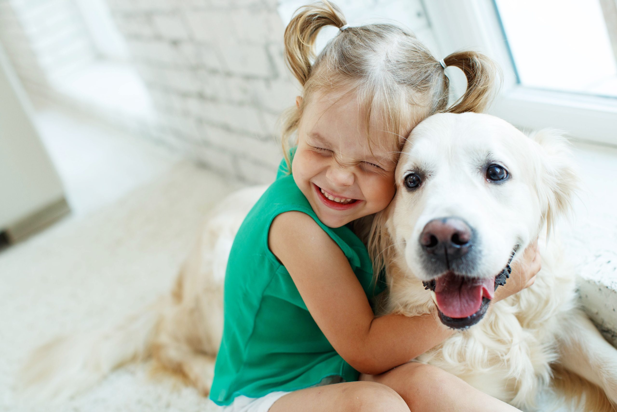 Benefits Of Owning A Pet - Post