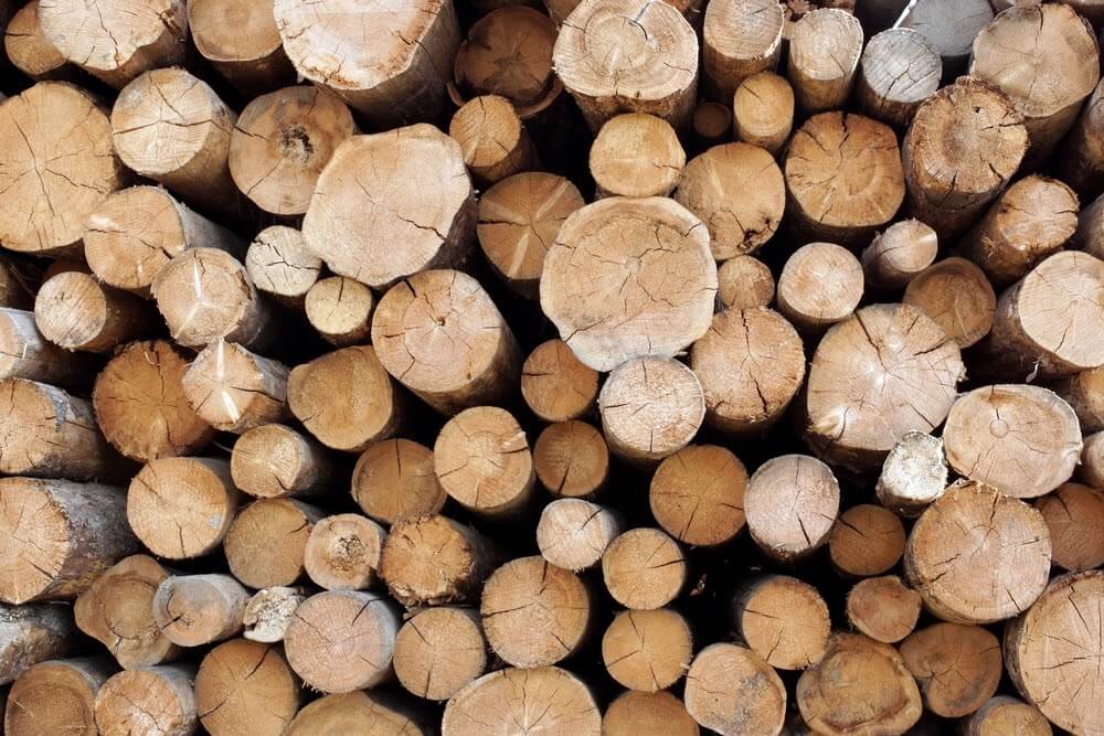What is Wood | What is Timber | Difference between Wood and Timber - Civil Engineering Portal ...