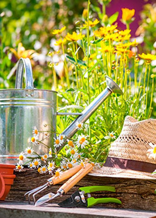 Services – Evergreen Landscape & Gardens