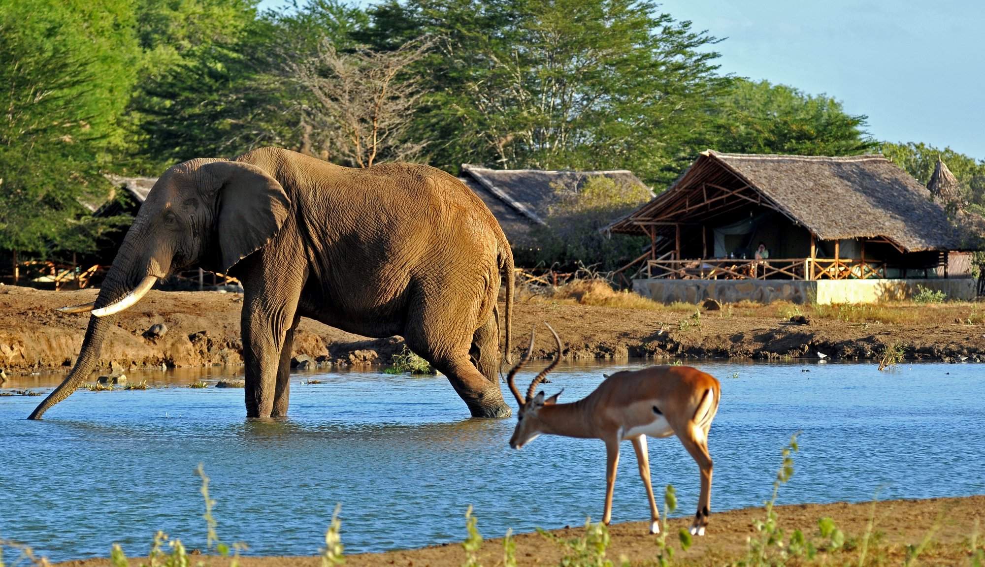 Reference map | Tsavo East National Park in Kenya | Expert Africa