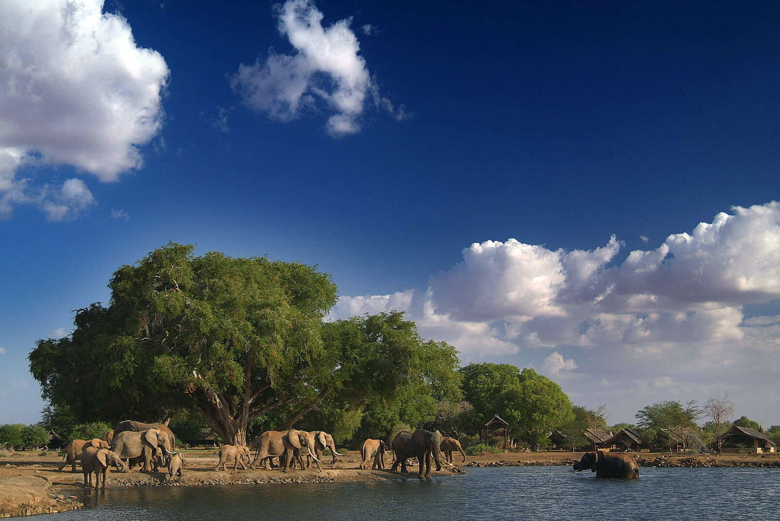 Reference Map| Tsavo East National Park In Kenya| Expert Africa