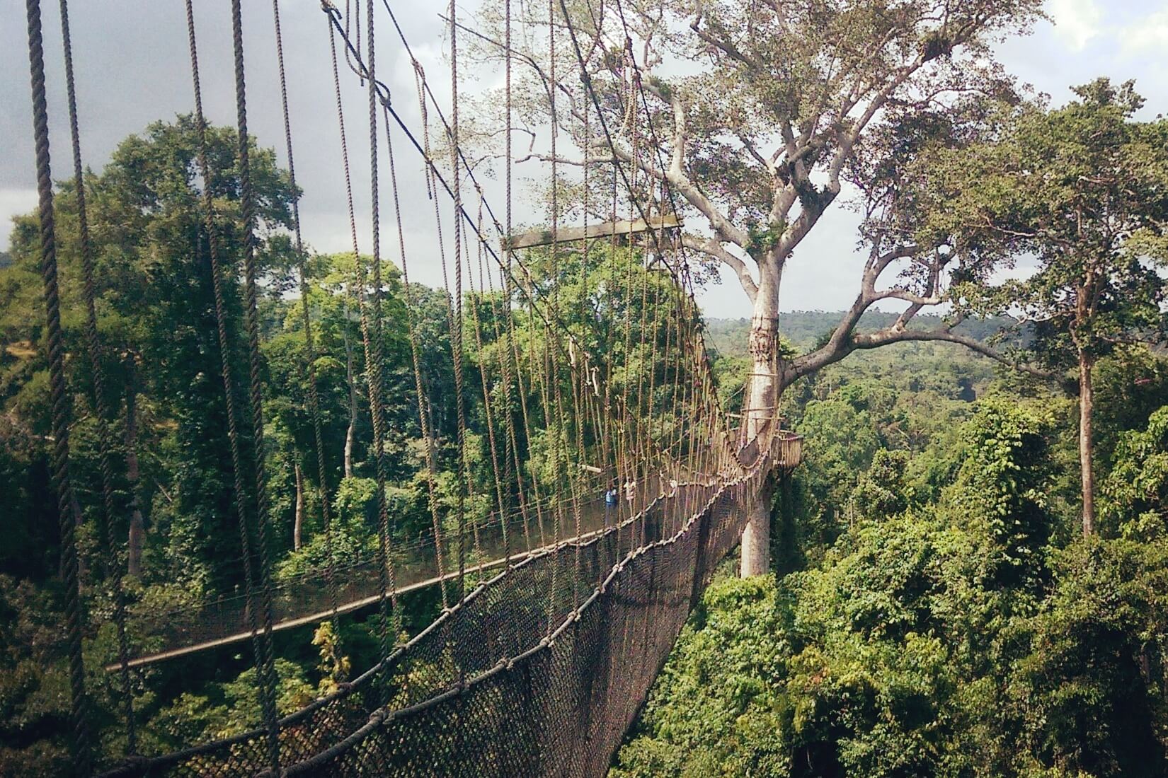 Kakum National Park - Faith Charity Foundation