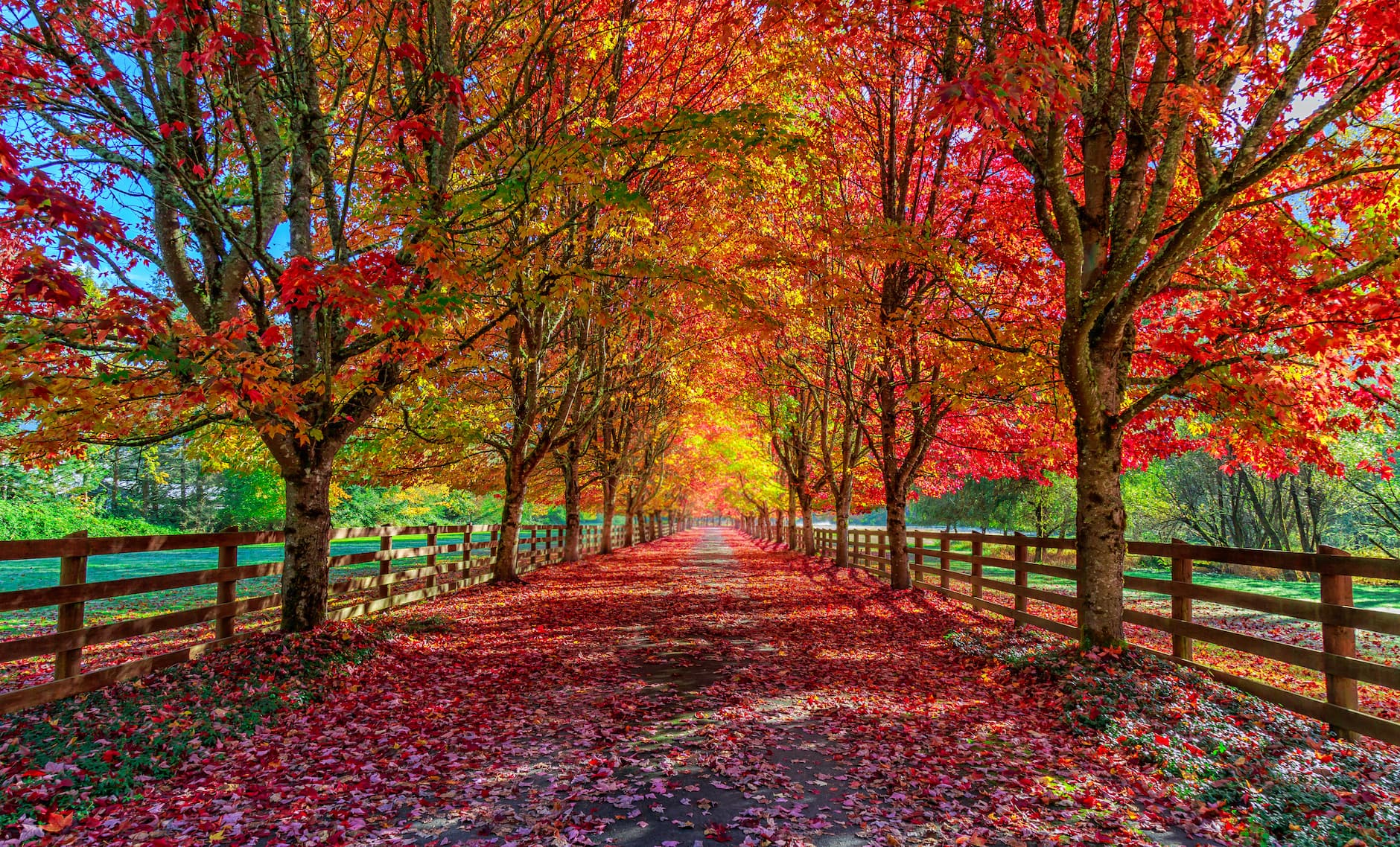 Fall Equinox - When Is the First Day of Fall?