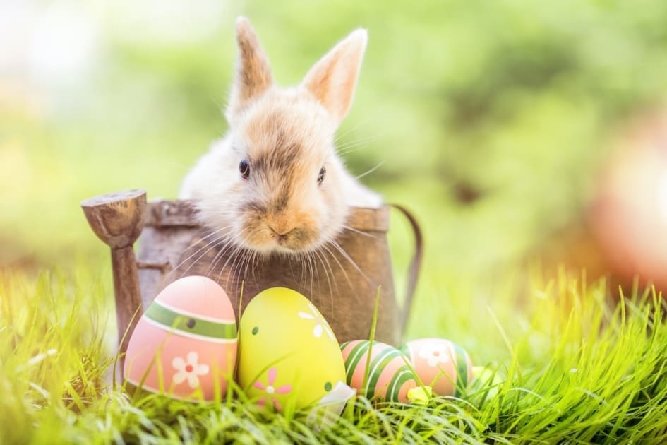 Easter Sunday - MyraSunana