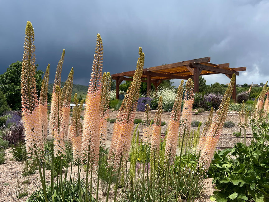 Welcome to Featured Gardens – Discover New Garden Ideas