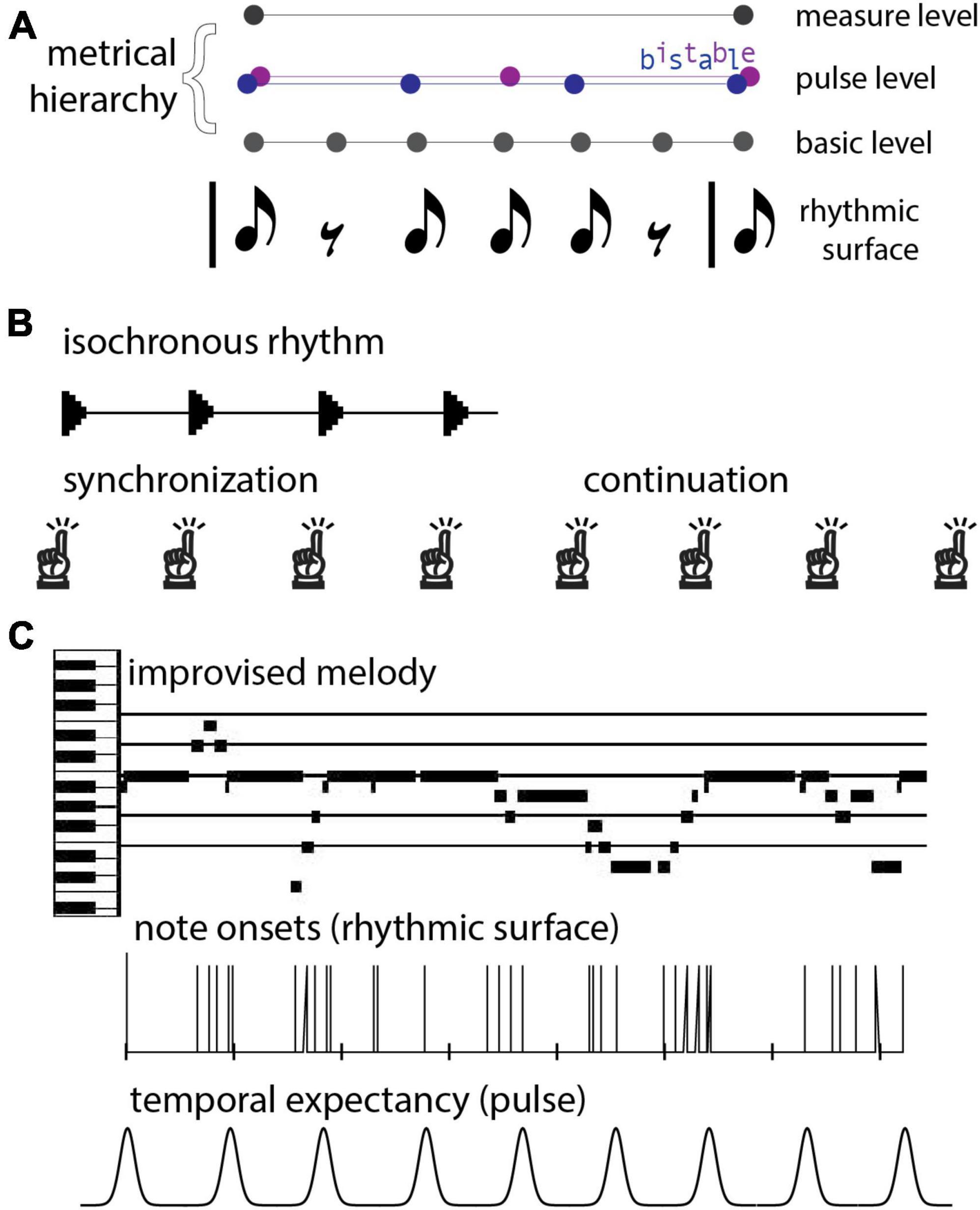 Frontiers | Dynamic models for musical rhythm perception and coordination