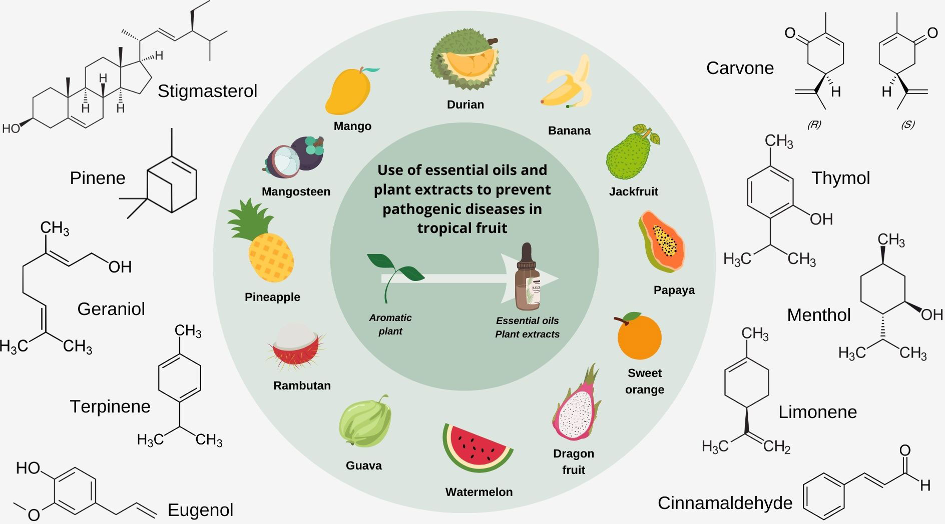 Frontiers| Essential Oils And Plant Extracts For Tropical Fruits Protection: From Farm To Table